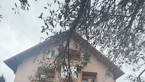 A two-story house with a balcony on the upper floor, a front door, and a small front yard with potted plants. - Villa Ileana  (Ceahlău)