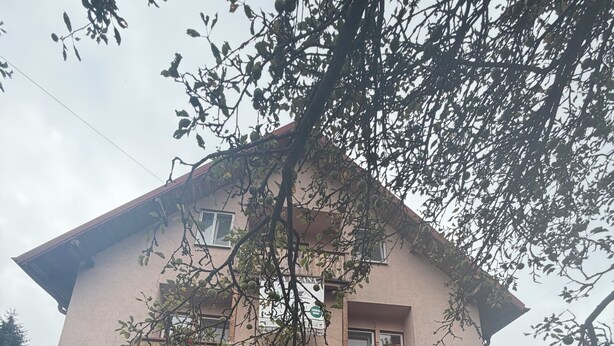 A two-story house with a balcony on the upper floor, a front door, and a small front yard with potted plants.