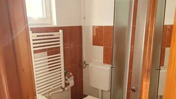 Casa de banho com chuveiro, sanita e lavatório.
