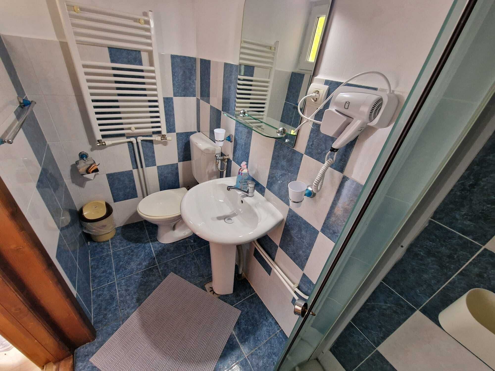 A bathroom with a white sink, a toilet, a glass shower enclosure, and a mirror.