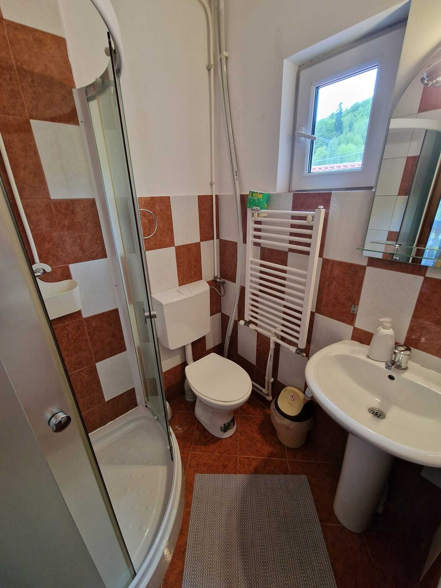 A bathroom with a shower, toilet, sink, and a window.