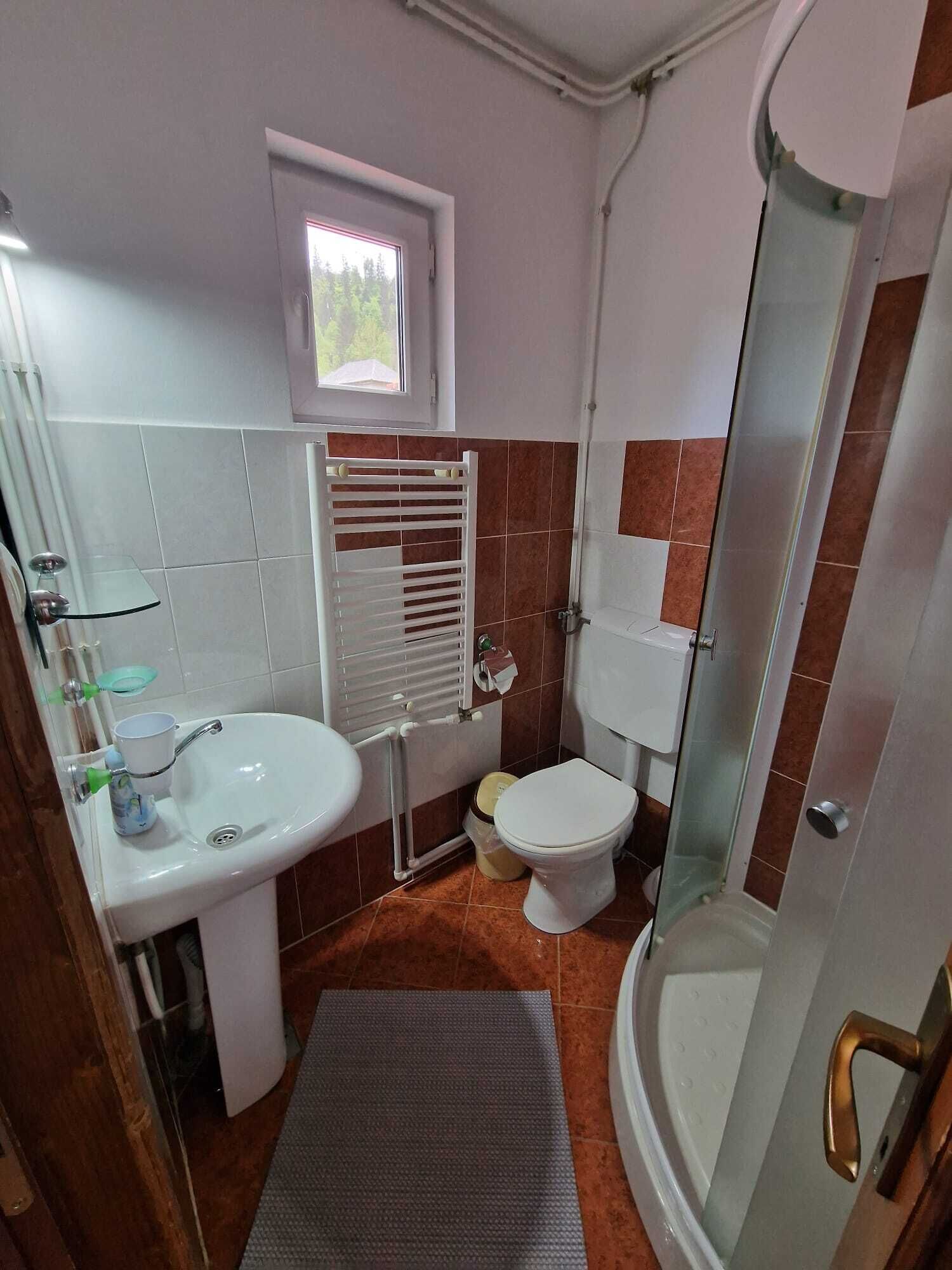 Et lille badeværelse med vask, toilet og brusebad.