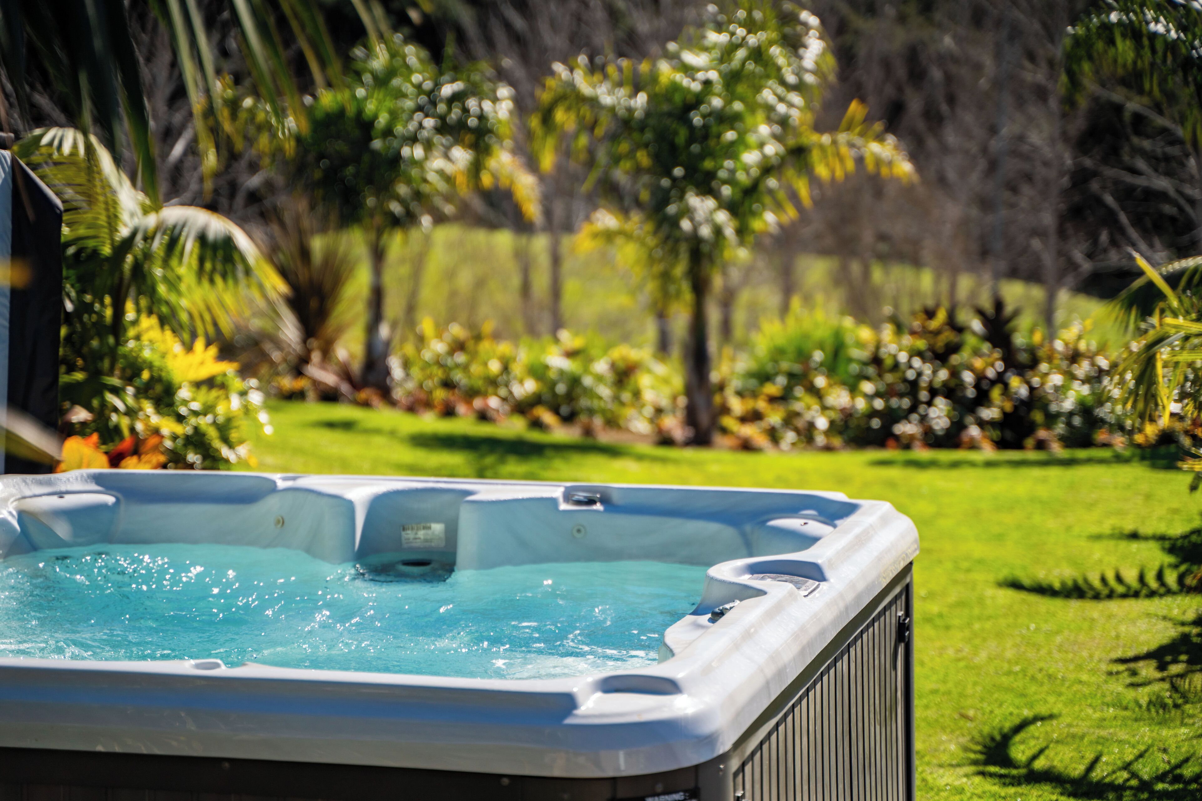 Un jacuzzi en un jardín con piscina, rodeado de diversas plantas y árboles.