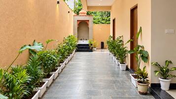 A corridor with potted plants on either side, leading to a door at the end.