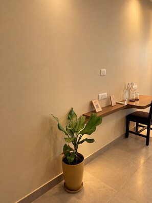 A reception area with a potted plant, a wooden counter, and a chair.