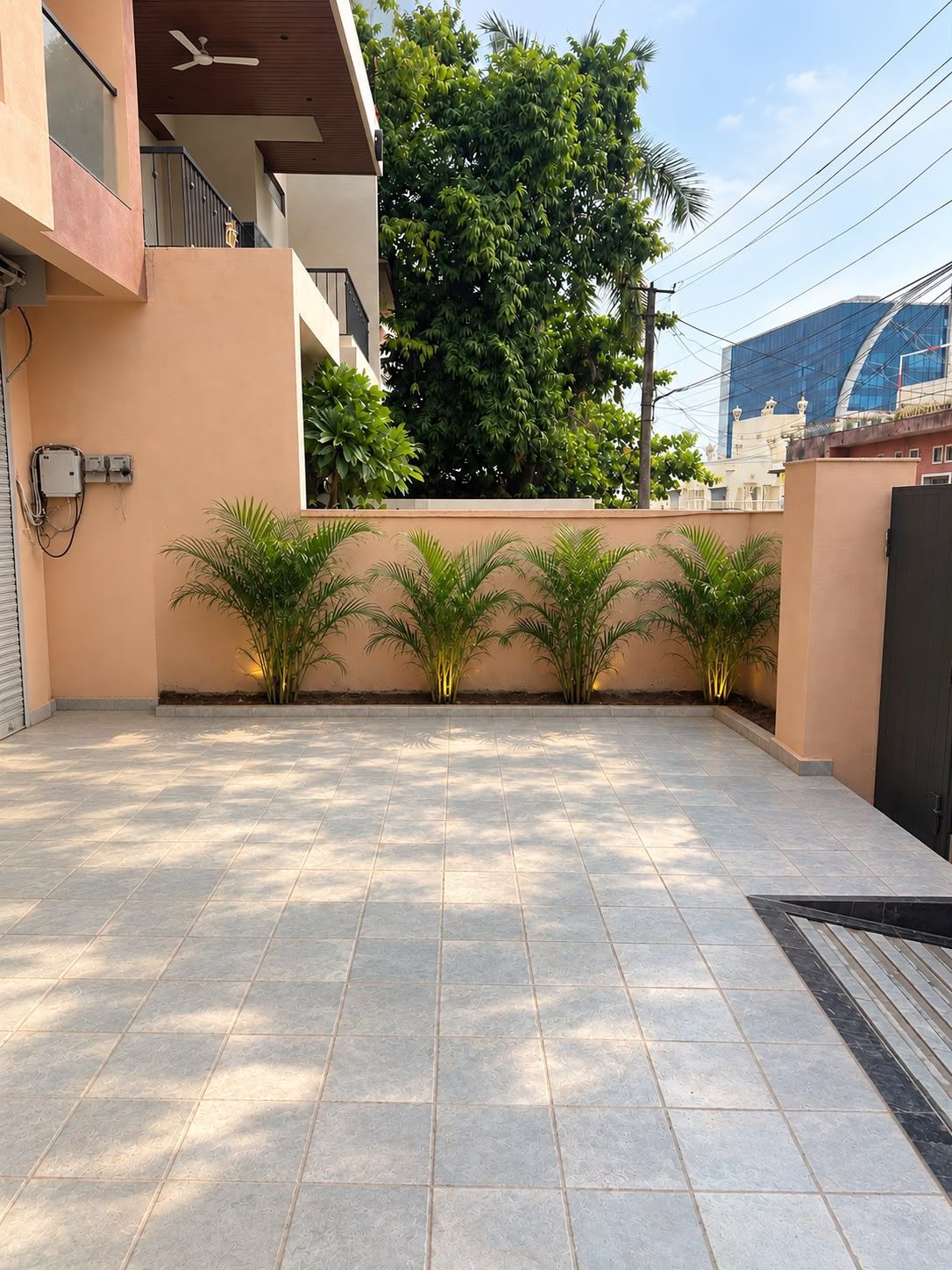 A rooftop terrace with a tiled floor, a black gate, and a row of palm plants.