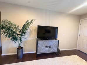 Una sala de estar con un televisor de pantalla plana sobre un mueble, una planta en maceta y una alfombra estampada.