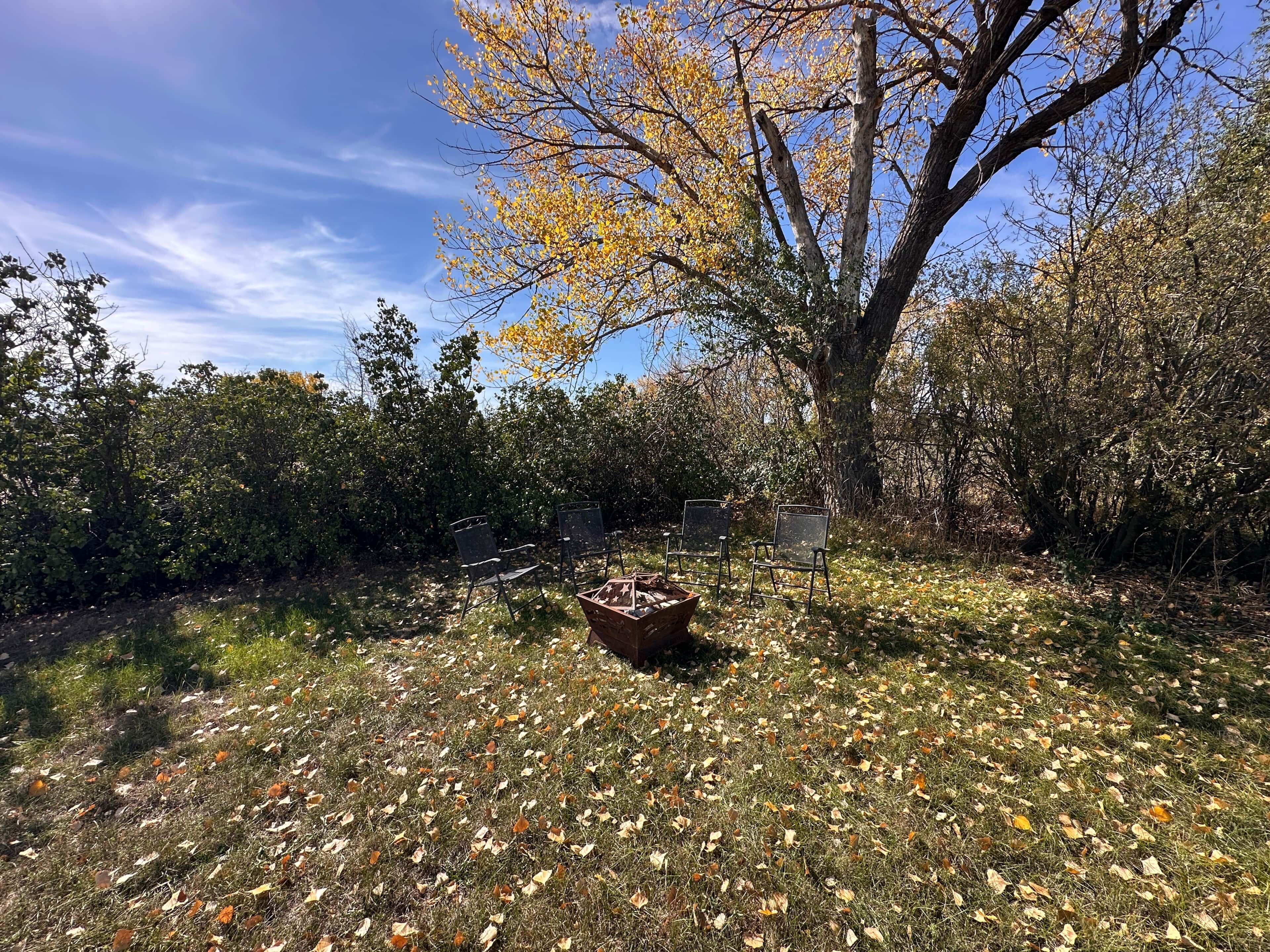 Un espace extérieur agrémenté d’un grand arbre, d’un banc en métal et d’un bac à fleurs en bois.