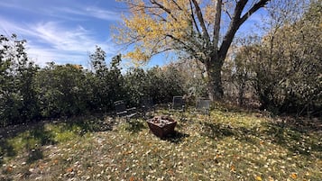 Un espace extérieur agrémenté d’un grand arbre, d’un banc en métal et d’un bac à fleurs en bois.