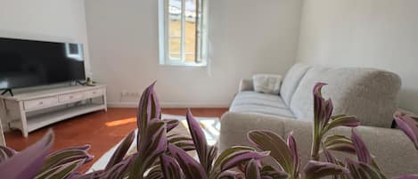 Una sala de estar con un sofá, un televisor de pantalla plana sobre un mueble bajo y una ventana con persianas.