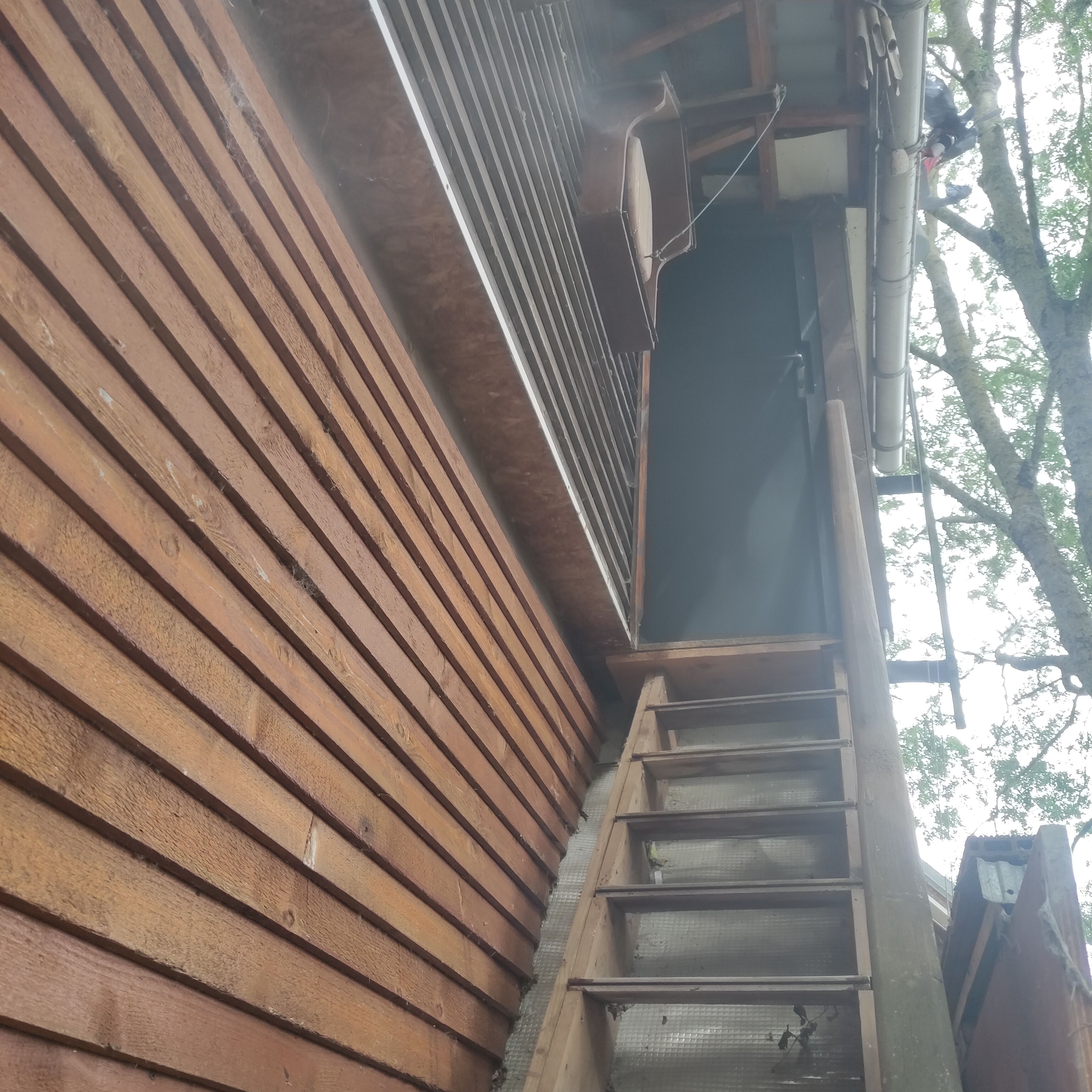 Un esterno in legno con una scala in metallo che conduce a una porta scura.