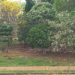 A garden with various trees and shrubs, a paved walkway, and a fence.