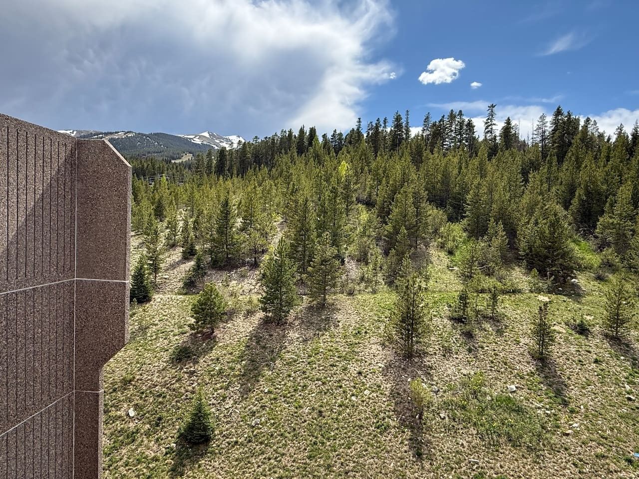 A forested area with a building in the foreground.