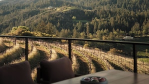 A terrace with a view of a forested hillside, a table with a bowl, and a chair.