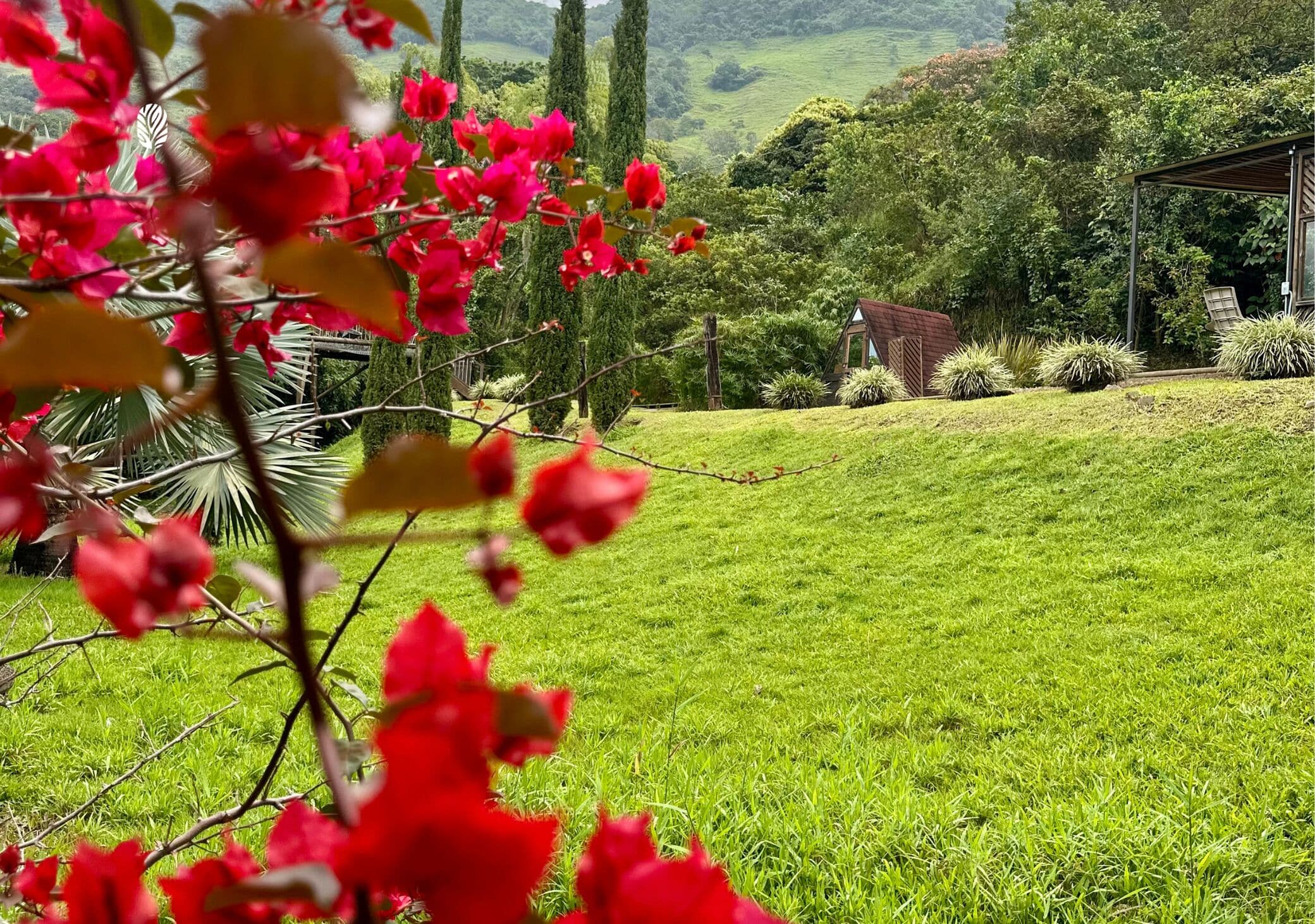 Classic Chalet, Garden View | Property grounds