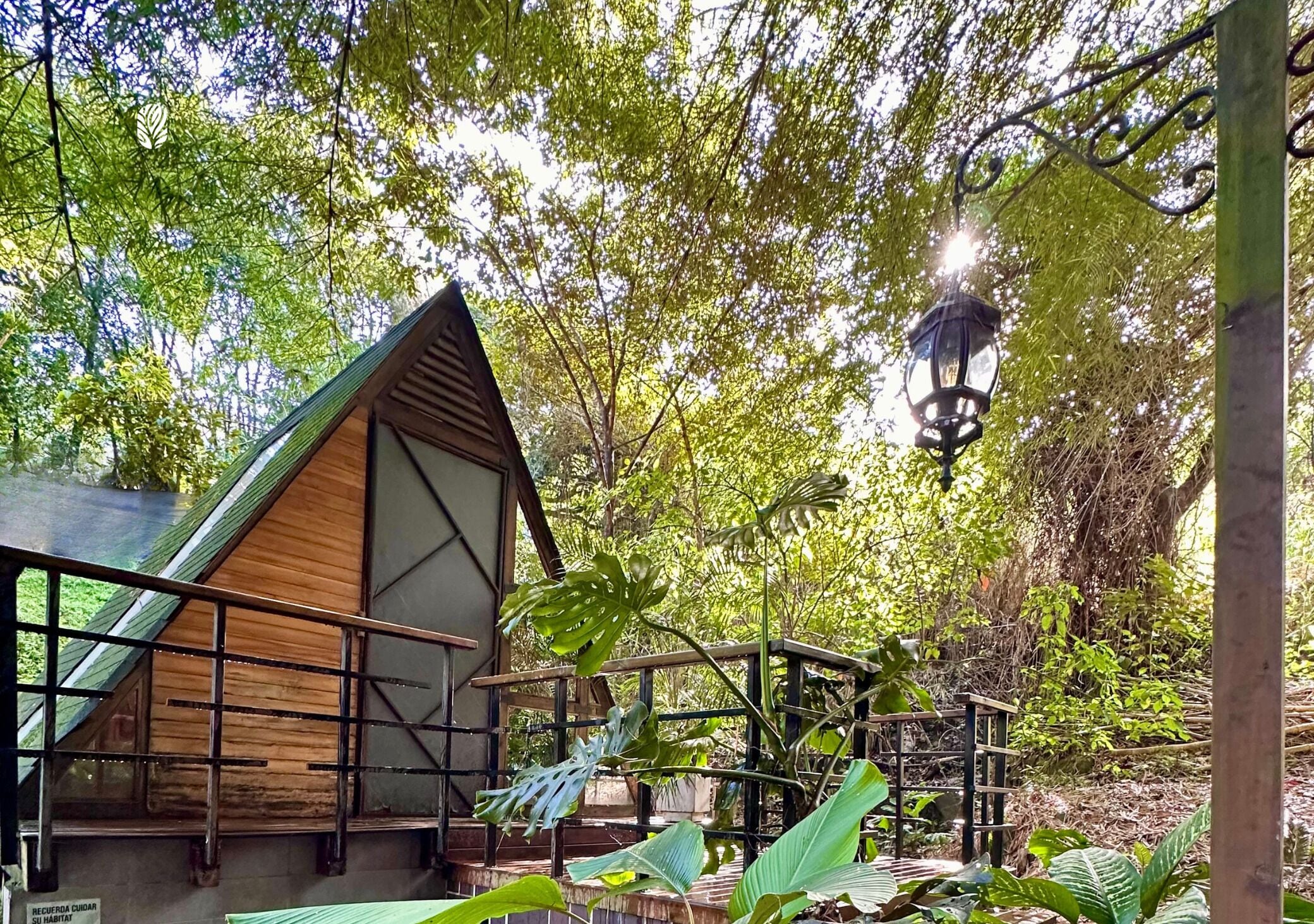 A wooden cabin with a sloped roof, surrounded by lush greenery and a hanging lantern.