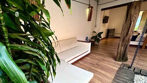 Una habitación con sofá, una planta colgante, suelo de madera y un camino de piedra.