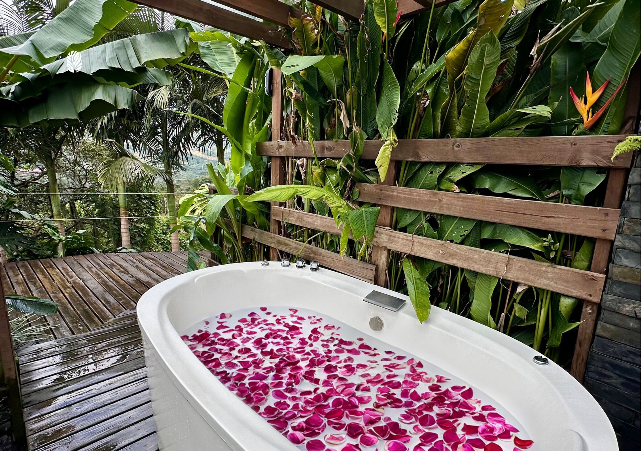 Outdoor spa tub