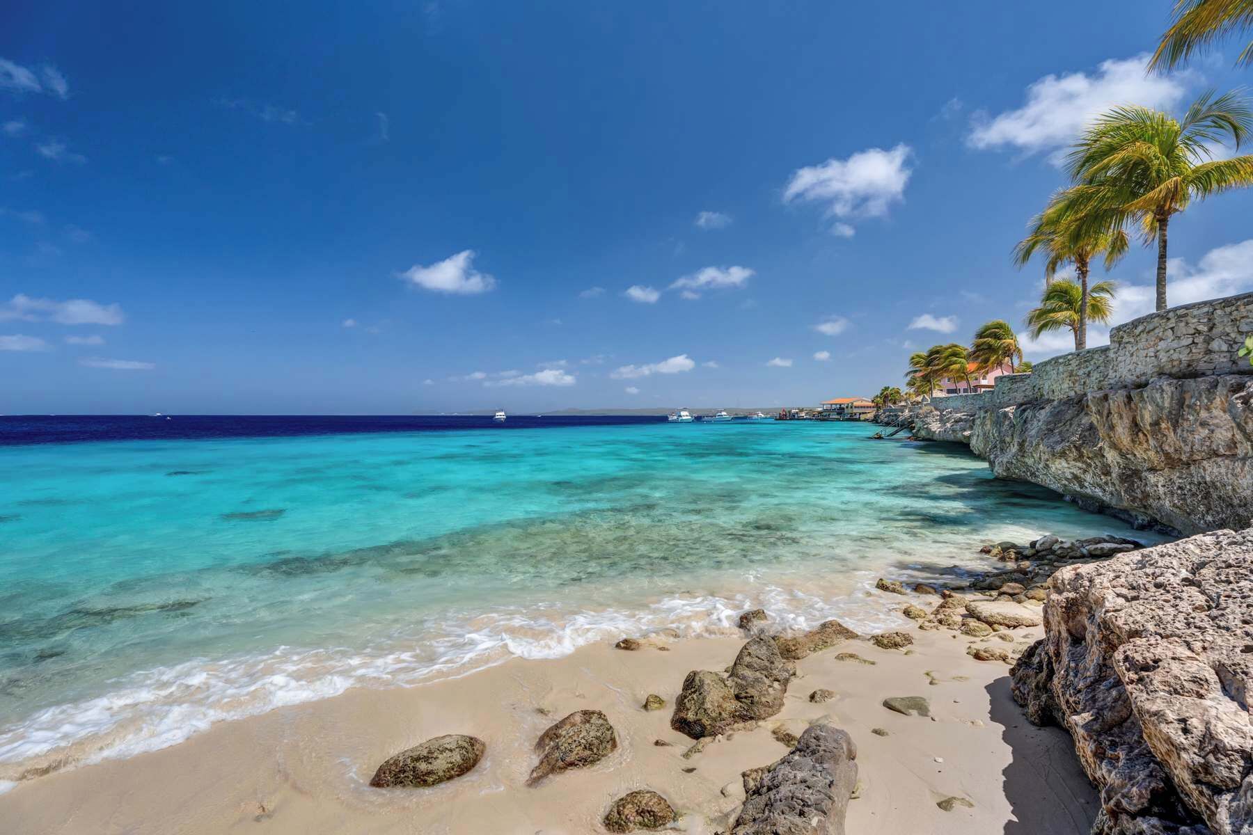 A beach with clear turquoise water, a rocky shoreline, and palm trees.