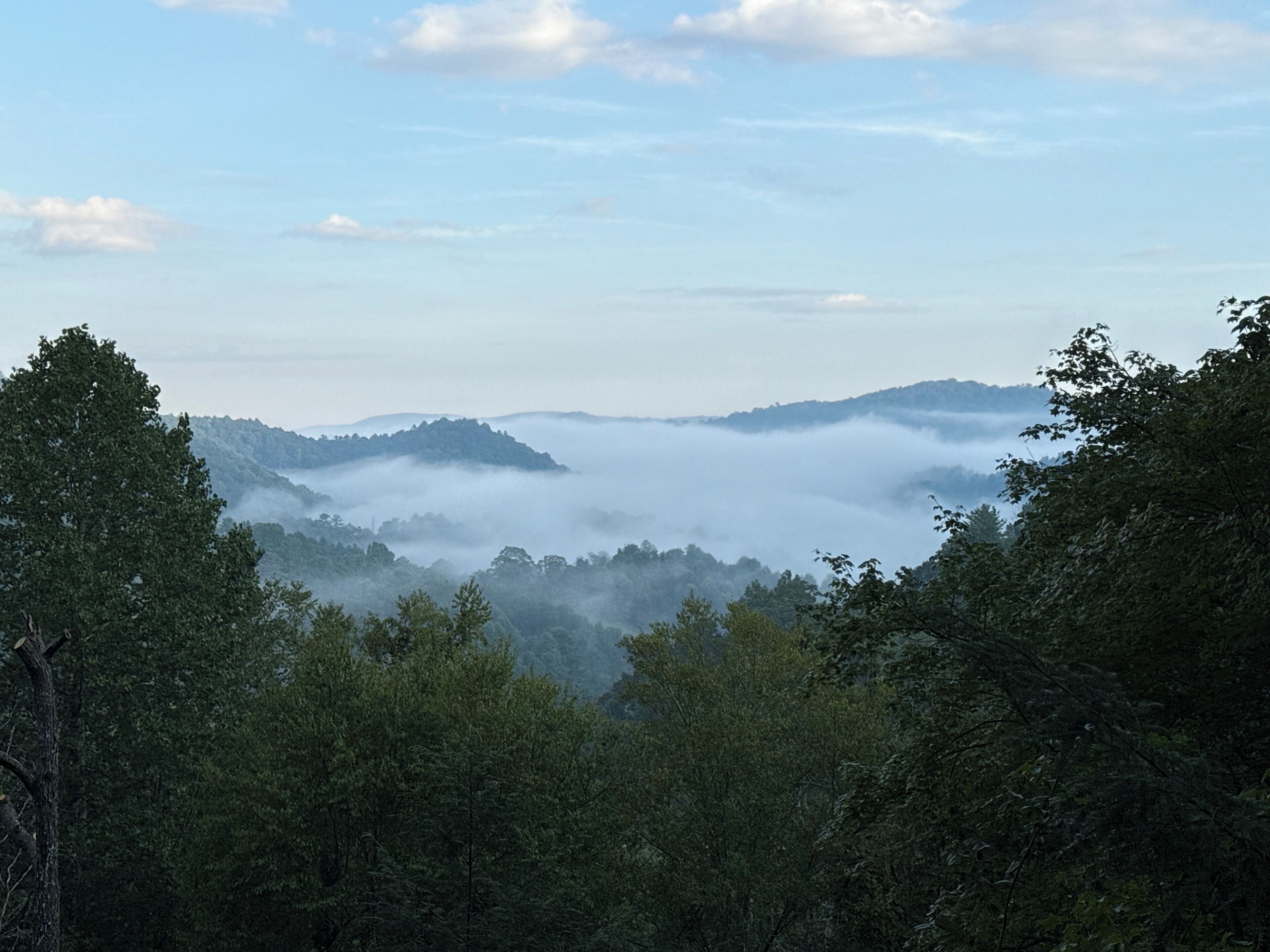 A forested landscape with mist-covered hills and a clear sky.
