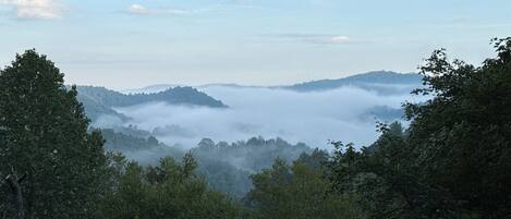 A forested landscape with mist-covered hills and a clear sky.