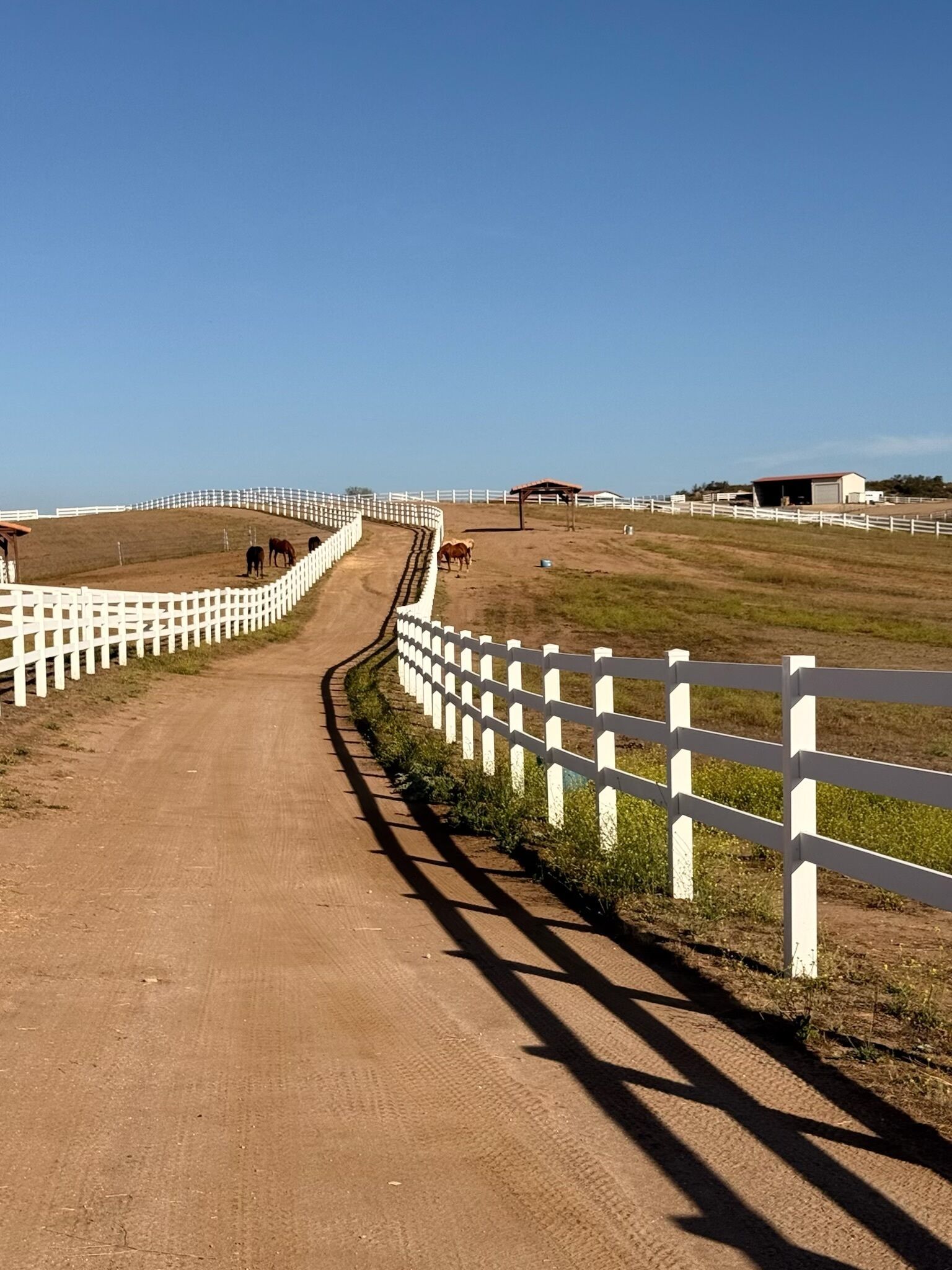 A dirt road with white fences on both sides, leading to a stable area with horses.