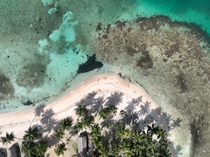 An aerial view of a beach with clear turquoise water, sandy shore, and palm trees.
