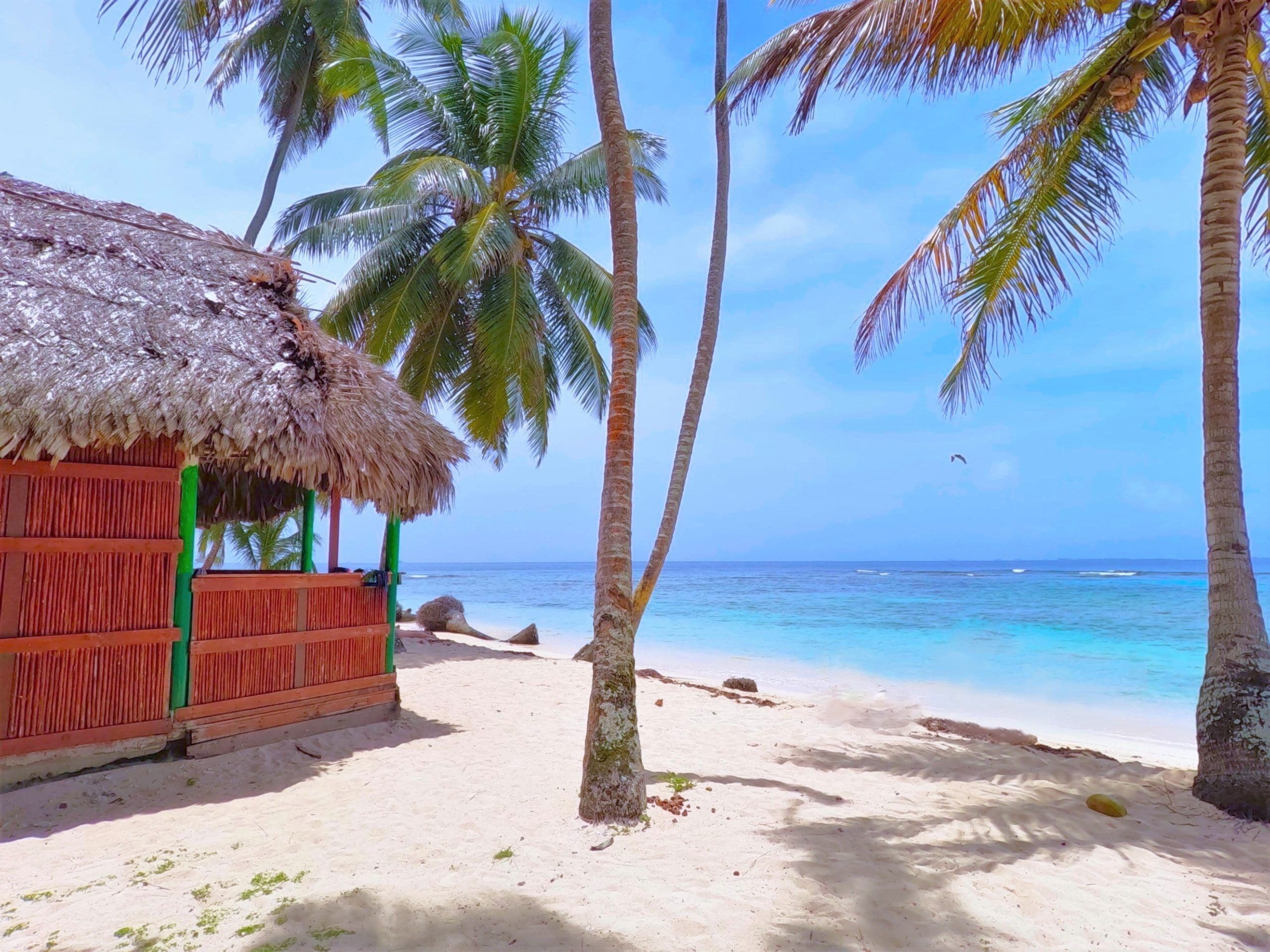 A beach hut with a thatched roof, palm trees, and a clear view of the ocean.