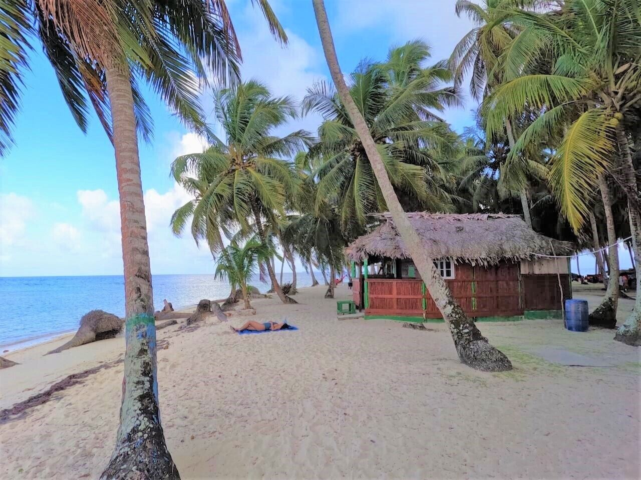 A beach with palm trees, a thatched-roof hut, and a sandy shore.