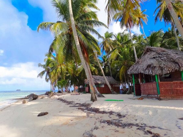 A beach with palm trees, a thatched-roof hut, and a sandy shore.
