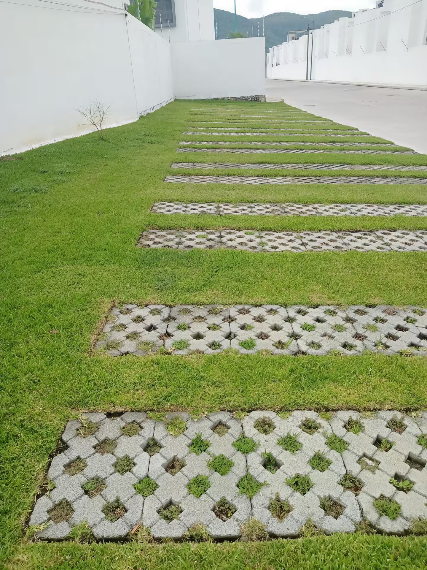 Ein Weg mit Betonplatten und Gras in einem Innenhof.