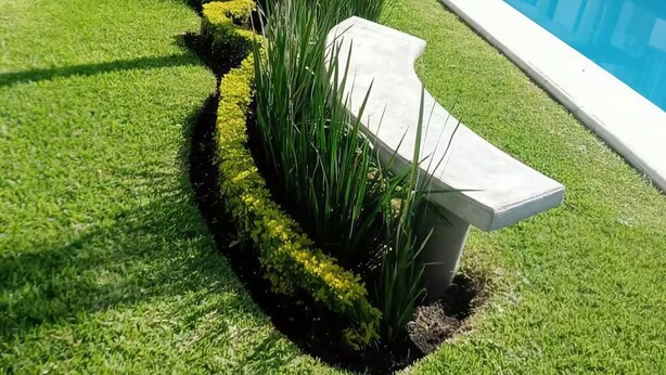 A modern outdoor area with a swimming pool, neatly trimmed grass, and a palm tree.