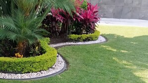 A landscaped garden with a palm tree, red-leafed plants, and a neatly trimmed lawn.
