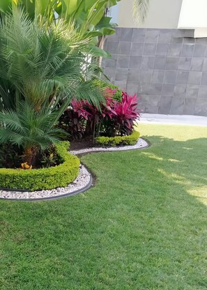 A landscaped garden with a palm tree, red-leafed plants, and a neatly trimmed lawn.