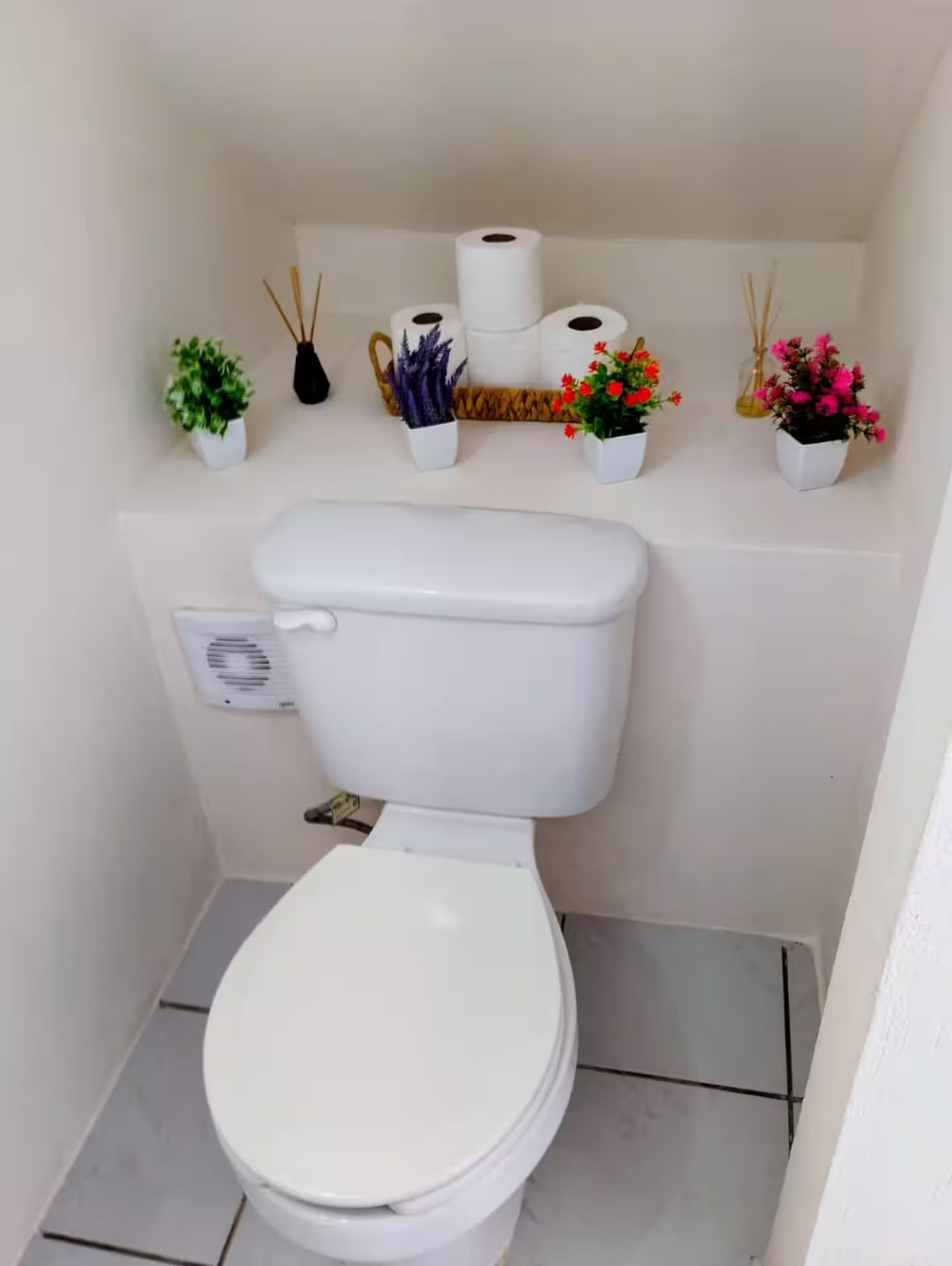 Ein kleines Badezimmer mit Toilette, Toilettenpapierhalter und drei Blumentöpfen an der Wand.