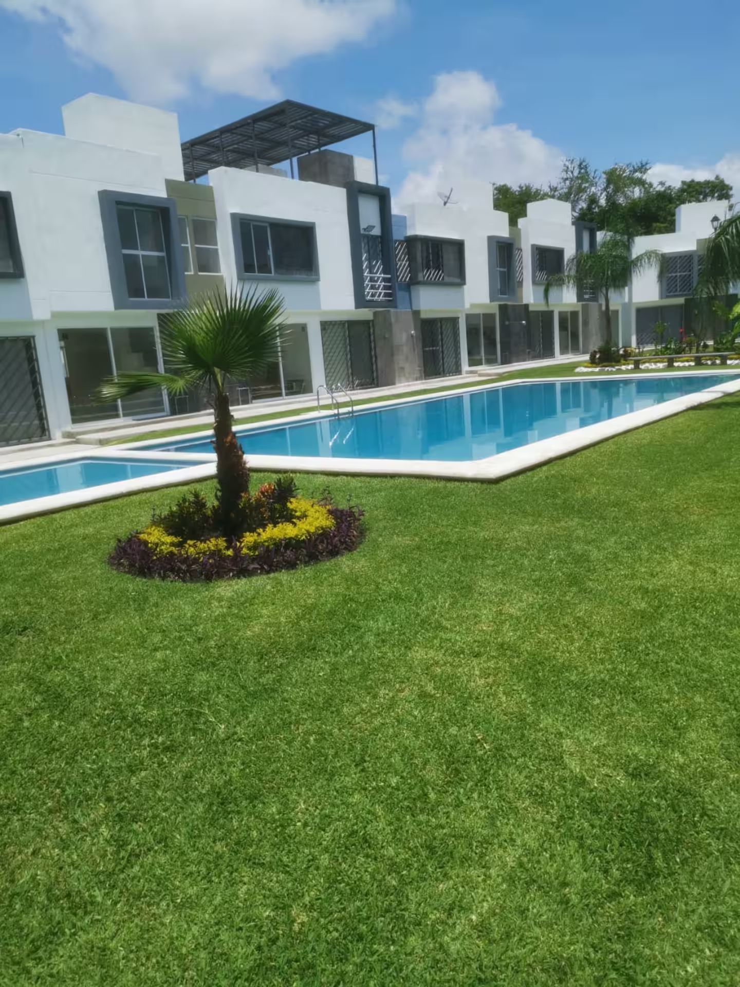 Edifício residencial moderno com piscina, cercado por gramado bem cuidado e uma palmeira.