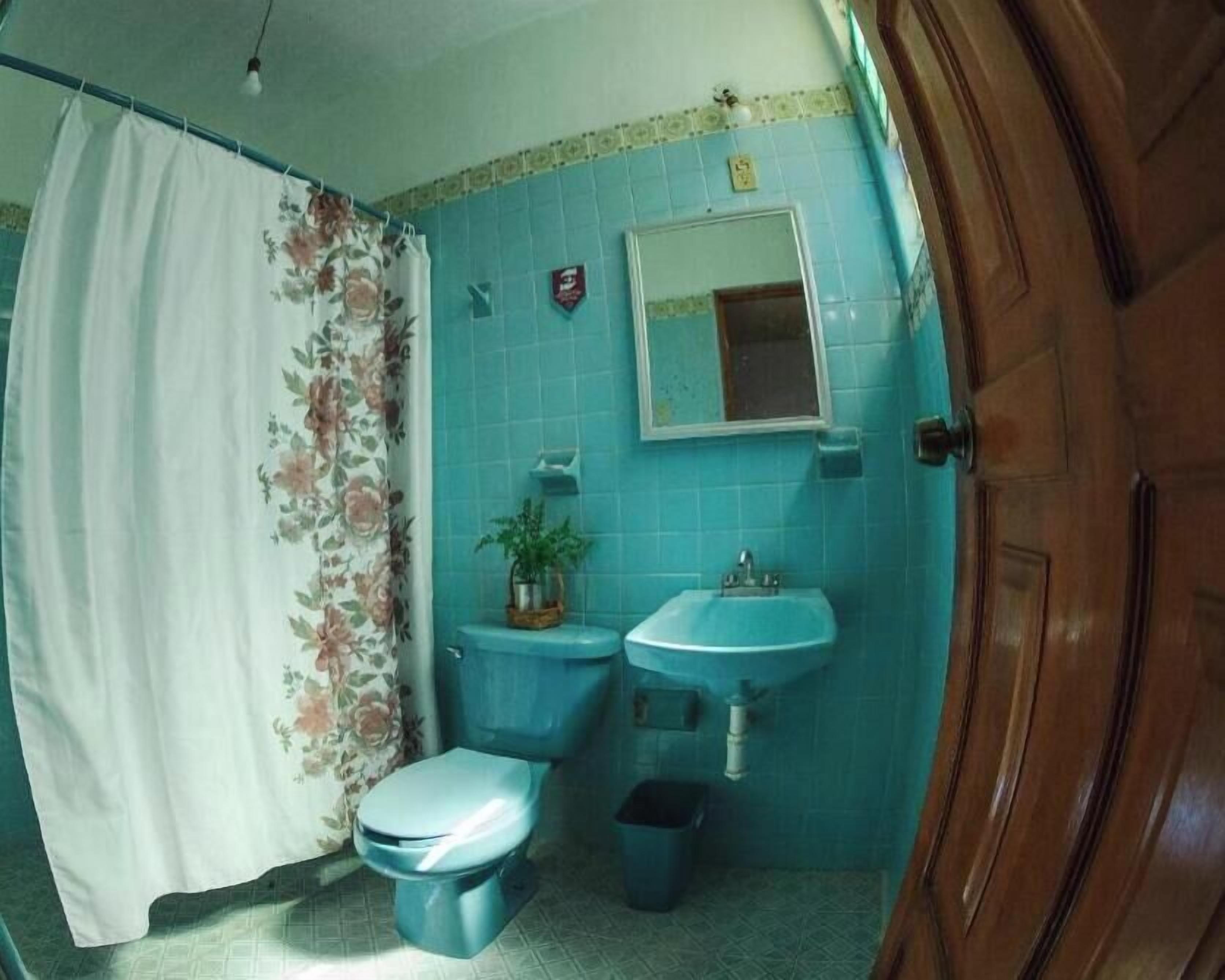 Ein Badezimmer mit Toilette, Waschbecken und Duschvorhang.