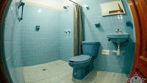 Un bagno con WC, lavandino e zona doccia.