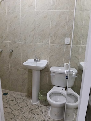Ein Badezimmer mit einem Standwaschbecken, einer Toilette und einem Bidet.