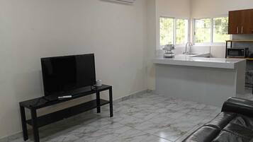 A living room with a flat-screen TV on a stand, a leather sofa, and a kitchen area with a sink and cabinets.