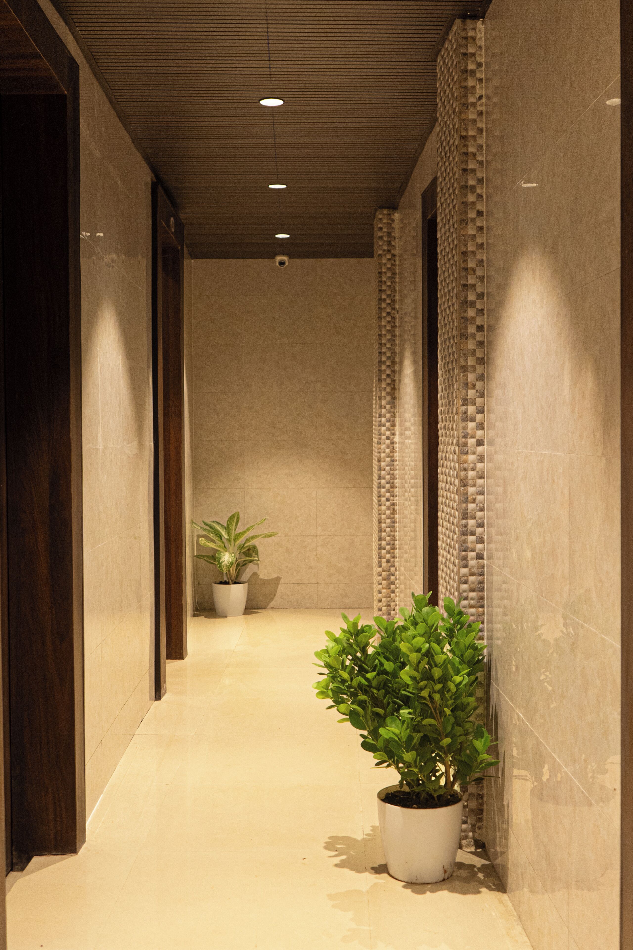 A hallway with a tiled floor, a wooden door on the left, and a potted plant on the right.