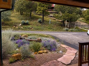 A landscaped garden with various plants and a curved pathway leading to a house. - Peaceful Redwood Retreat Cabin with Hot Tub & Incredible Forest Views (Ruidoso)