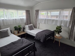 A room with two single beds, a small table, and a potted plant.