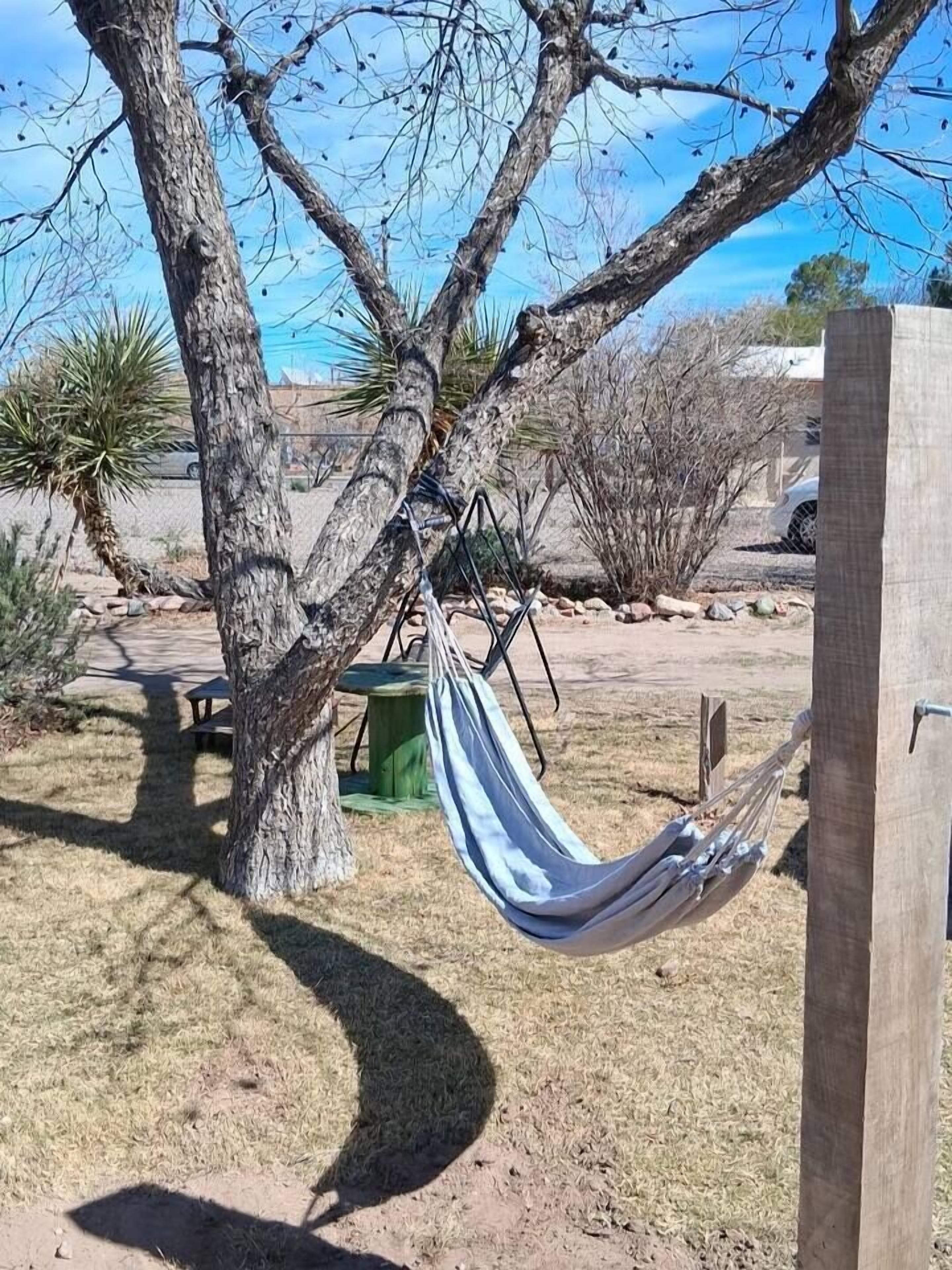 Una hamaca colgada entre dos árboles en un patio con una mesa de picnic y un bote de basura verde cerca.