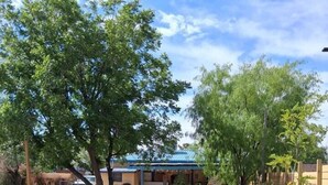 A desert landscape with a large tree, cacti, and a building with a blue roof in the background. - Charming Historic Las Cruces House & Farmers Market (Las Cruces)