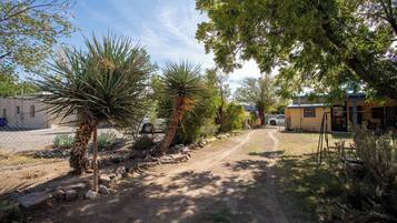 A dirt path leading to a building with a blue roof, surrounded by various plants and trees.