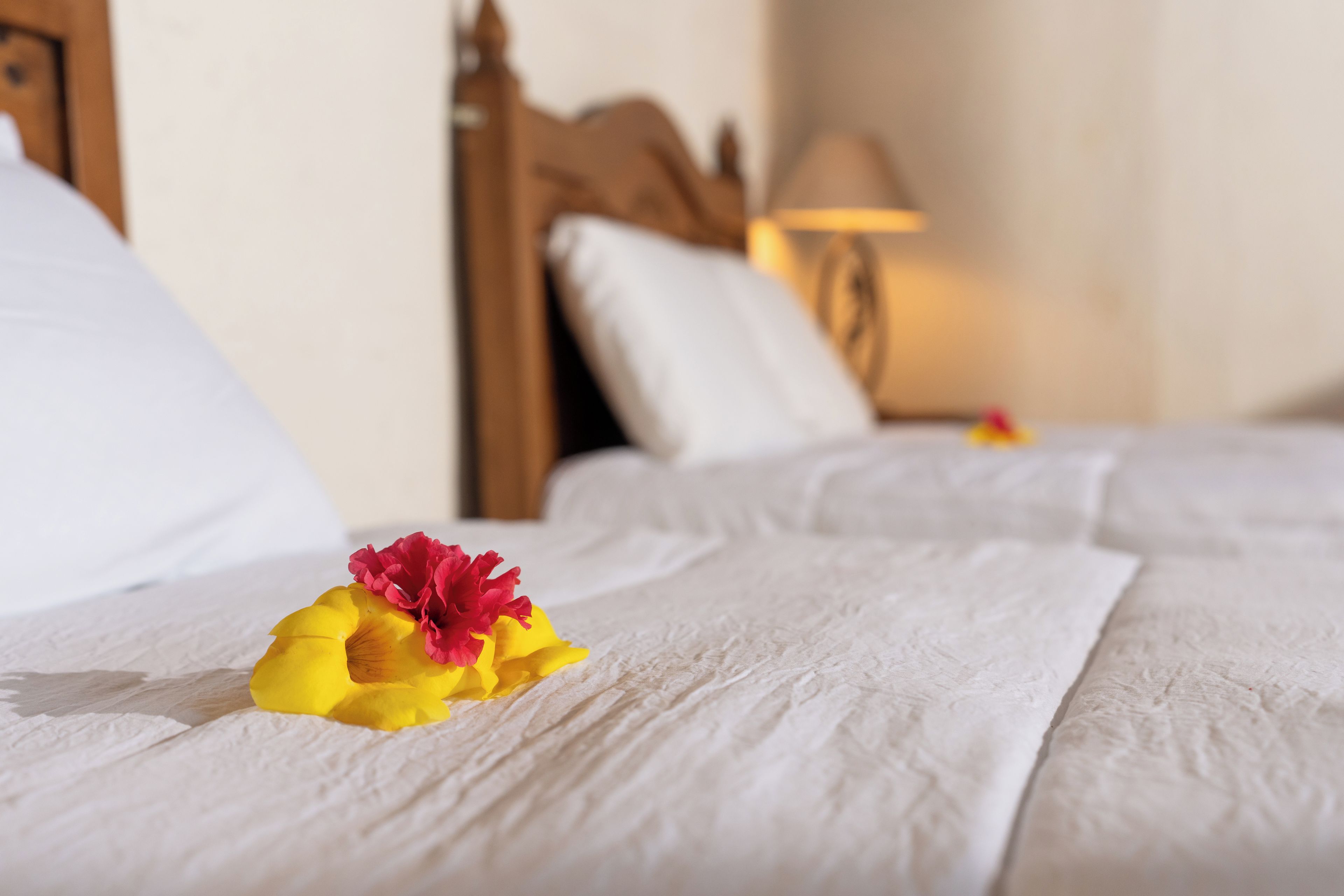 Una habitación de hotel con una cama bien hecha, un cabecero de madera y una lámpara de noche.