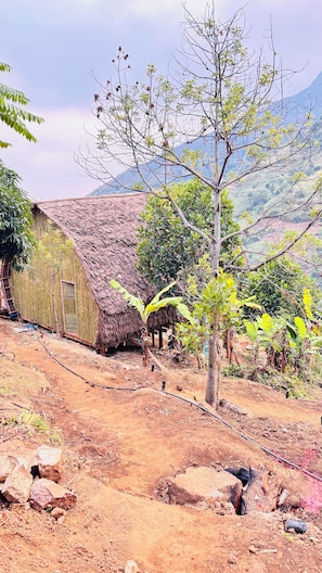 A rural setting with a thatched-roof hut, a dirt path, and a tree with green leaves. - Soul Nest Camp (Luhungo)