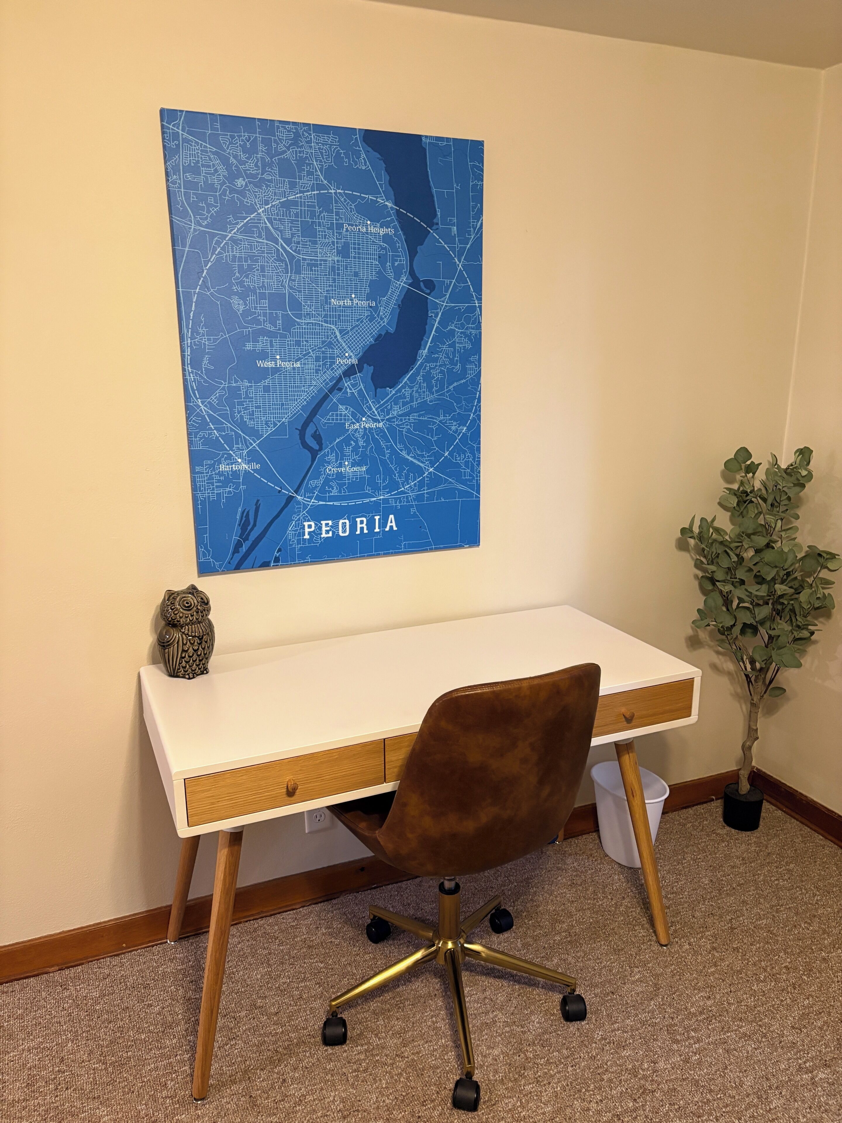 A desk with a map of Peoria on the wall, a small owl decoration, and a potted plant.