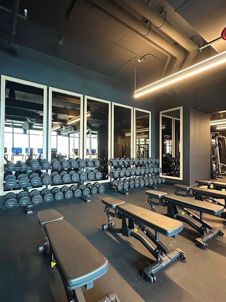 Uma academia com bancos de musculação, halteres e equipamentos de exercícios.